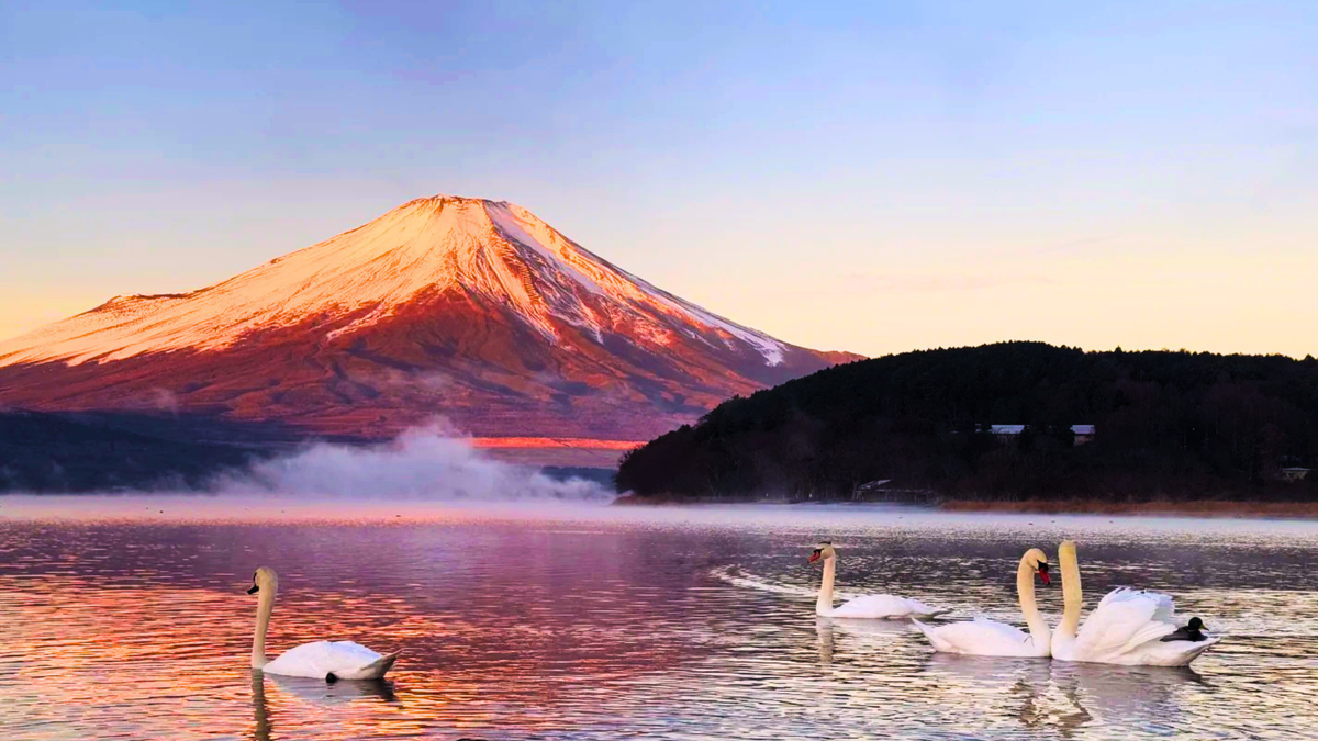 Osaka, Kyoto, Mount Fuji & Tokyo Private Tour | 7 Days 6 Nights