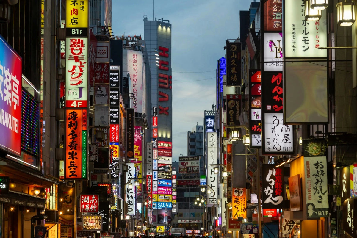 Tokyo Private Charter | 10-Hour City Tour