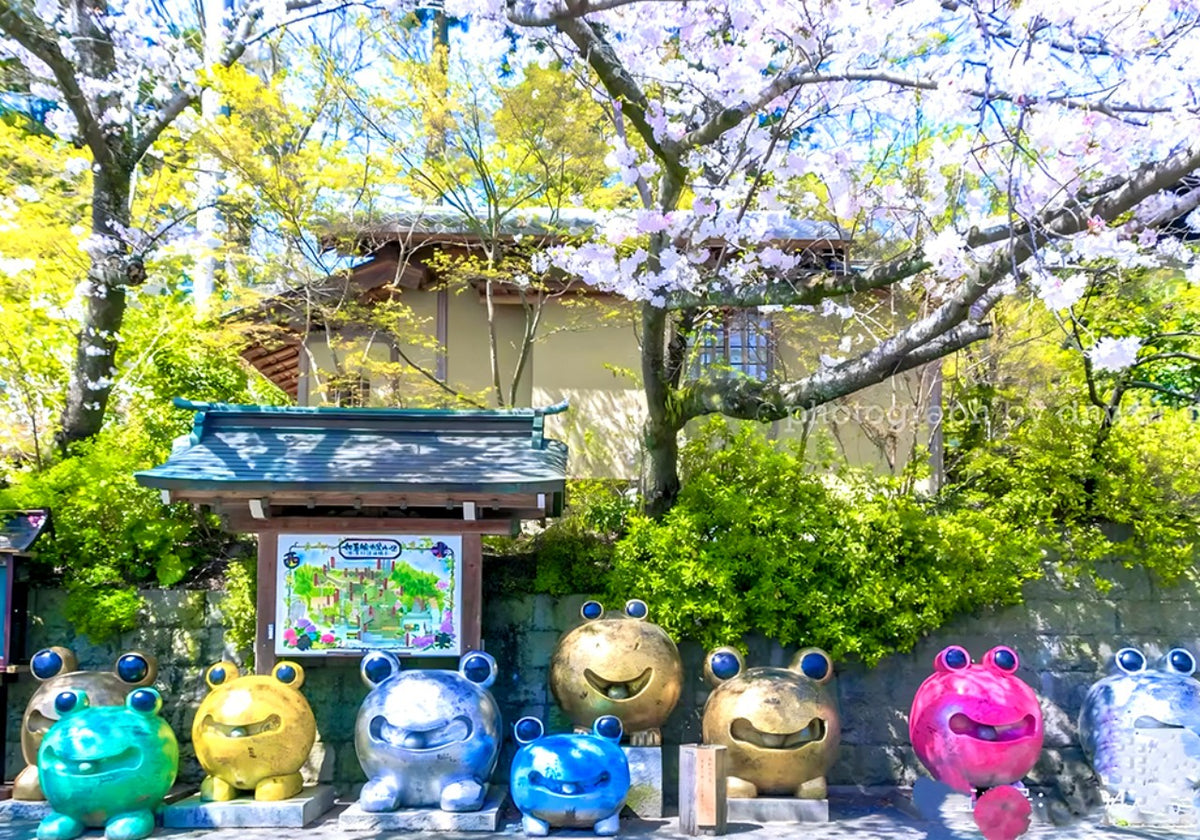 Kyushu Flower Viewing Private Tour | 6 Days 5 Nights