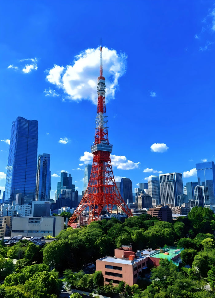 Osaka, Mount Fuji & Tokyo Two Theme Parks Private Tour | 7 Days 6 Nights