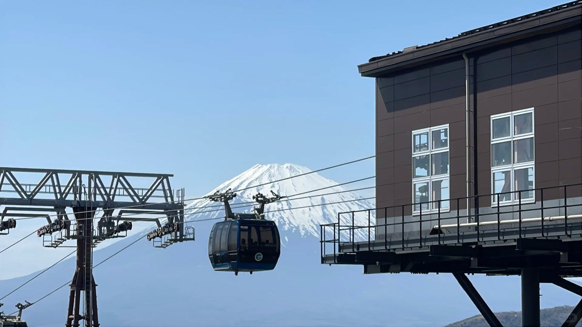 Tokyo Private Charter | Mount Fuji & Hakone 10-Hour Tour