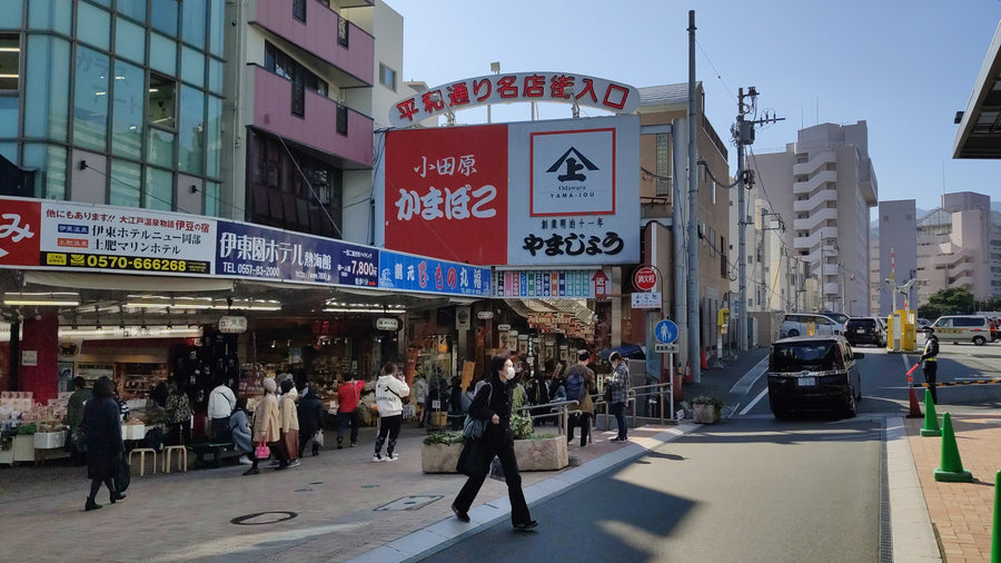 Atami Japan — LEDA TRIP