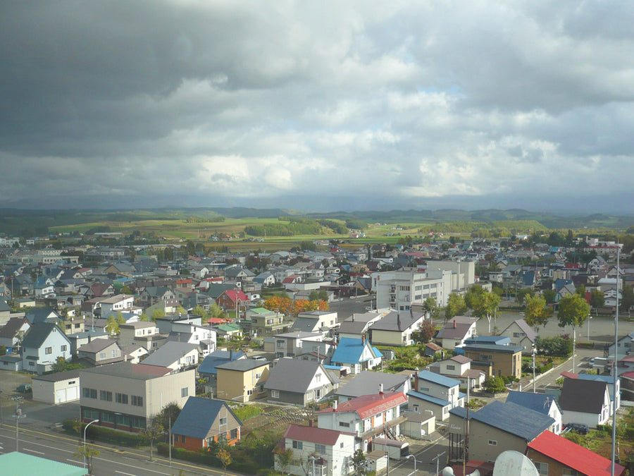 Biei Hokkaido — LEDA TRIP