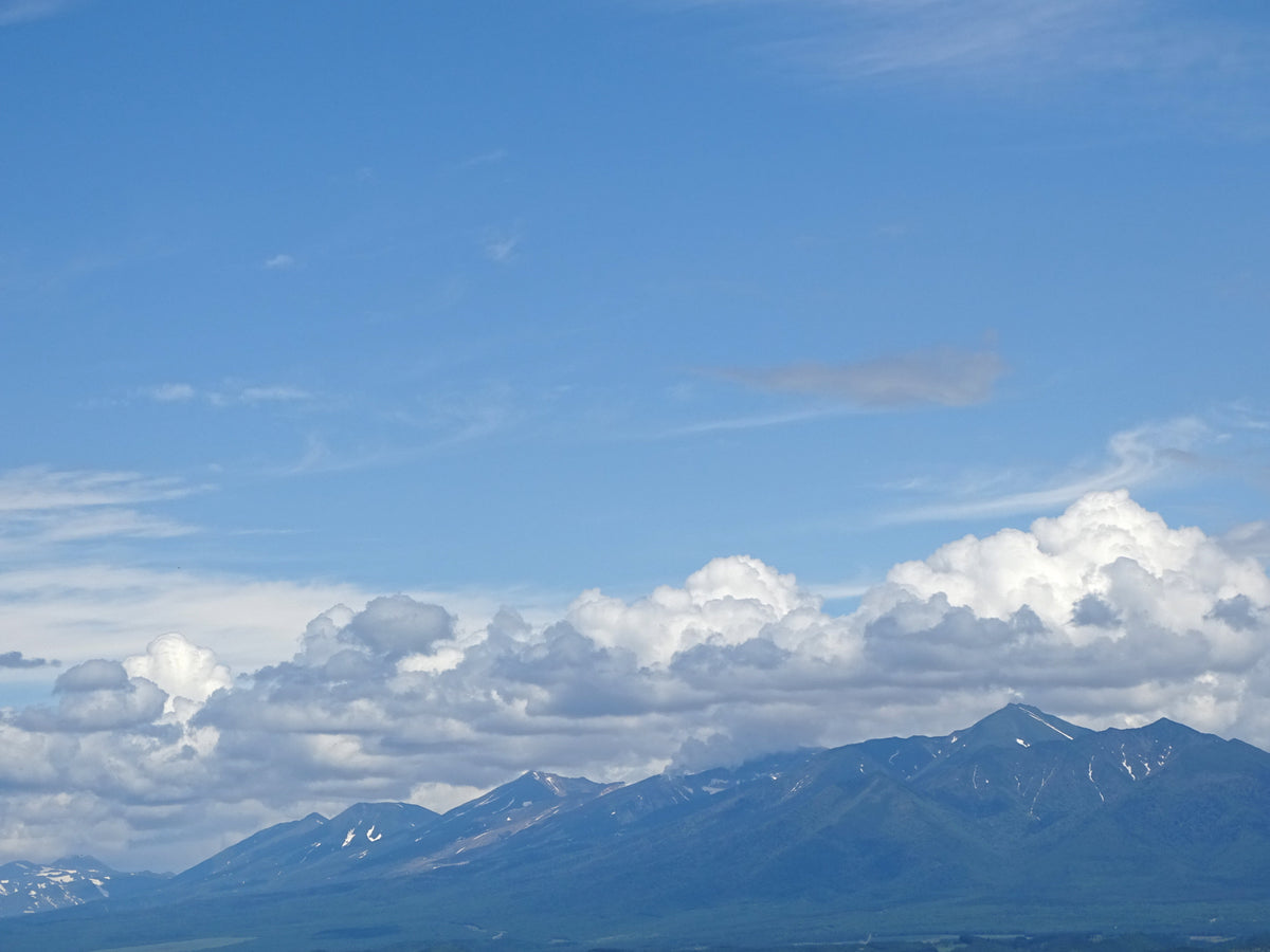 Furano Hokkaido — LEDA TRIP
