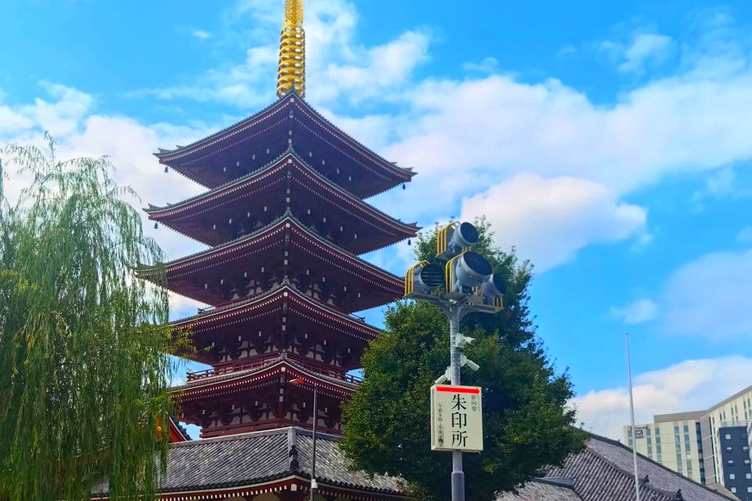 Tokyo Private Charter | 10-Hour City Tour