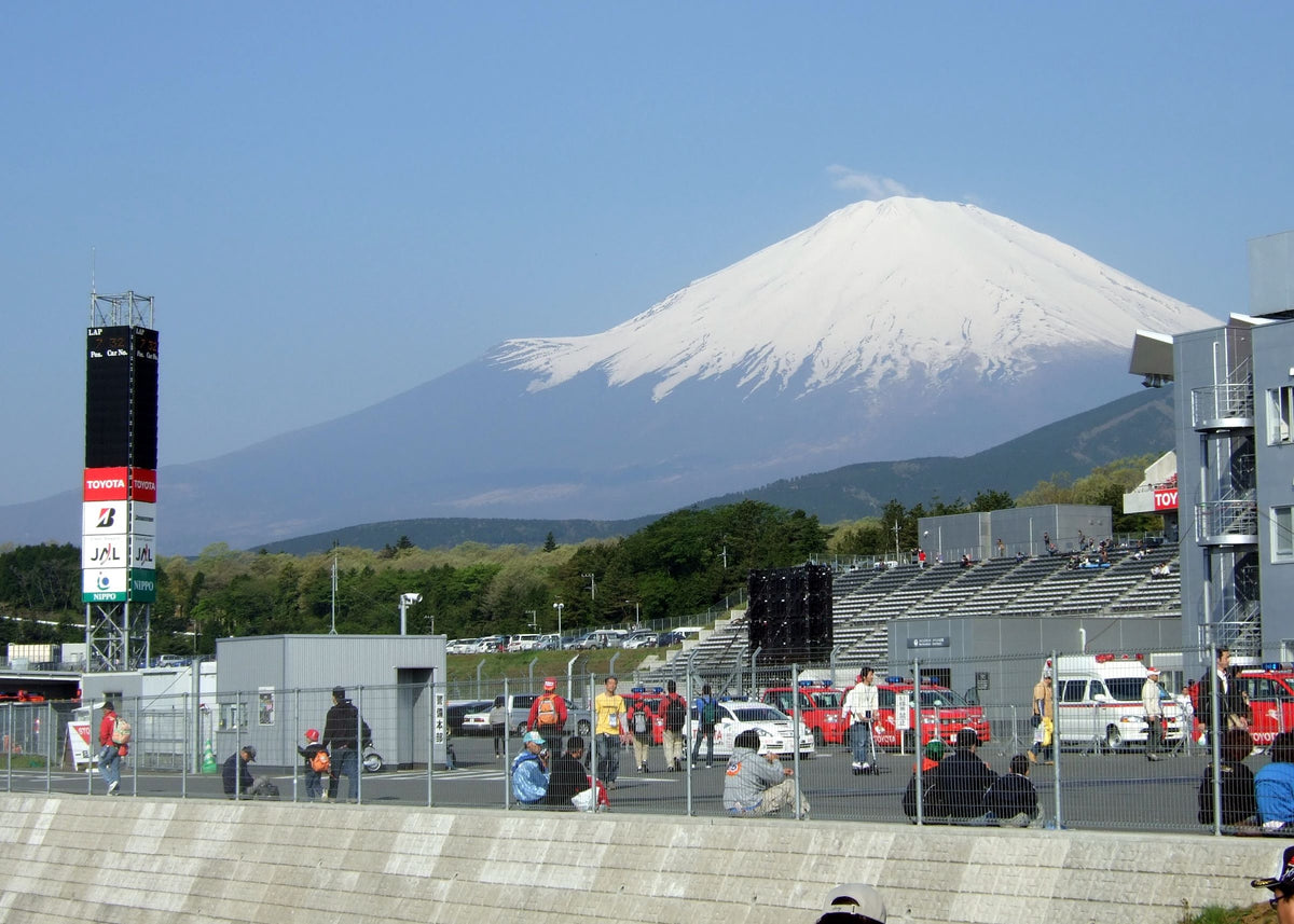 Mount Fuji Japan — LEDA TRIP