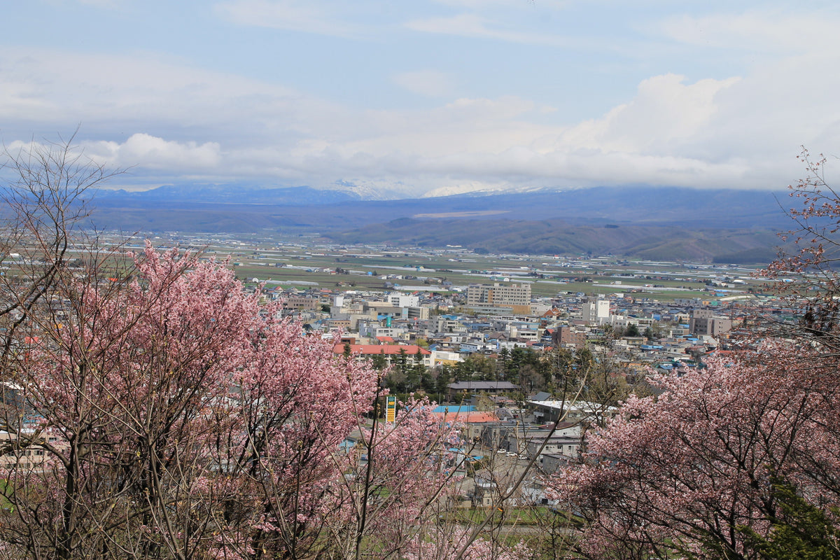 Furano Hokkaido — LEDA TRIP