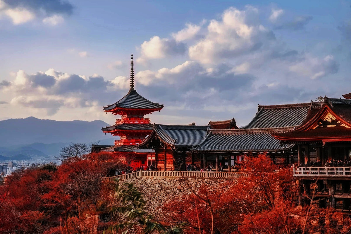 Kyoto Private Charter | 10-Hour City Tour