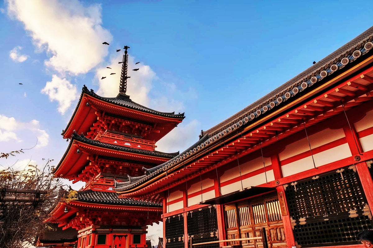 Kyoto Private Charter | 10-Hour City Tour
