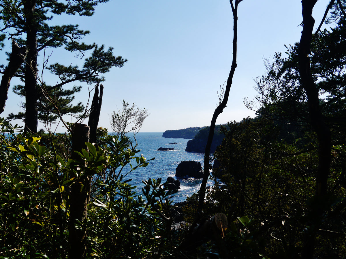 Jogasaki Coast — LEDA TRIP
