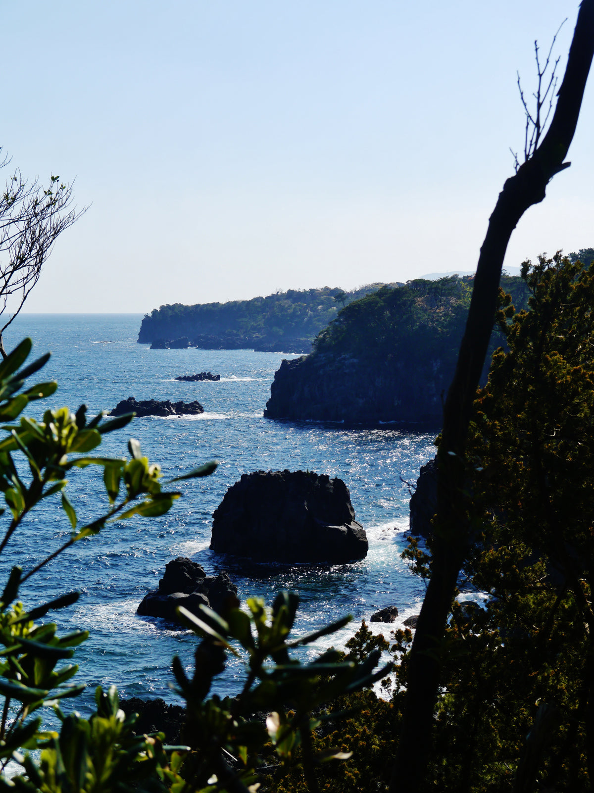 Jogasaki Coast — LEDA TRIP