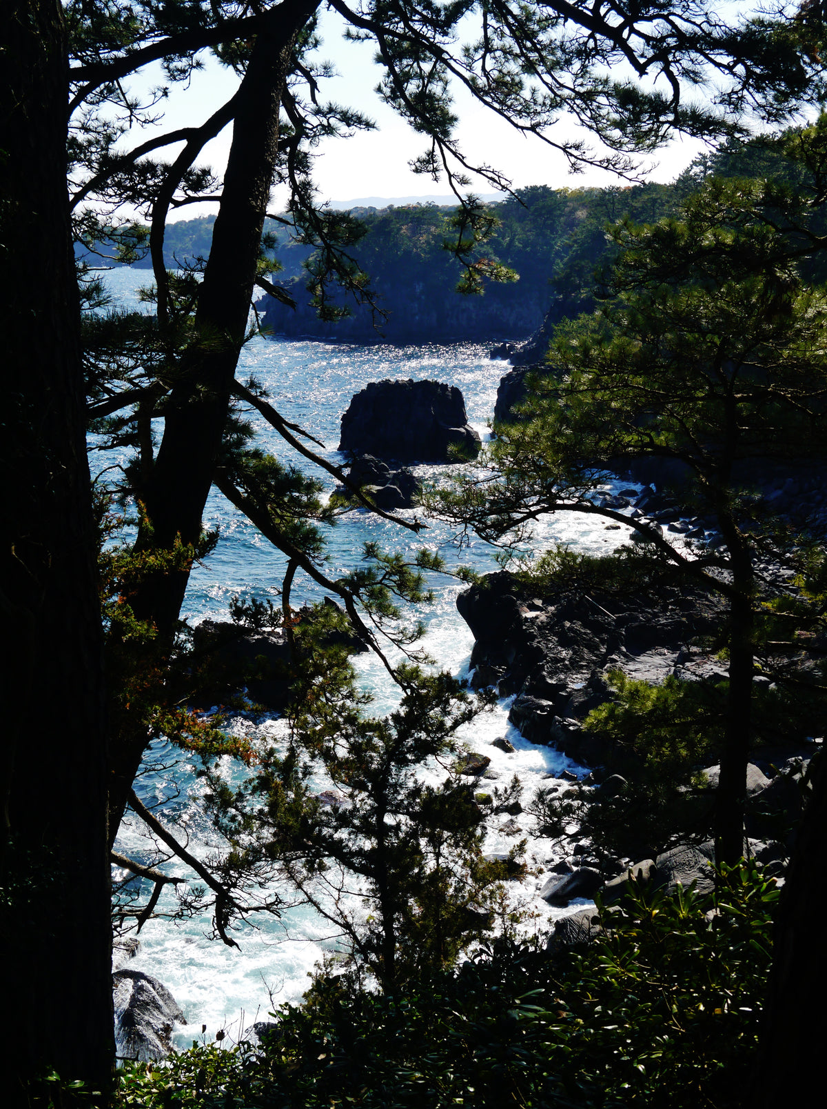 Jogasaki Coast — LEDA TRIP