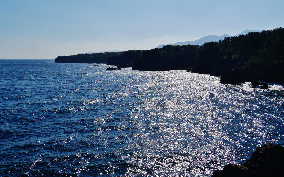 Jogasaki Coast — LEDA TRIP