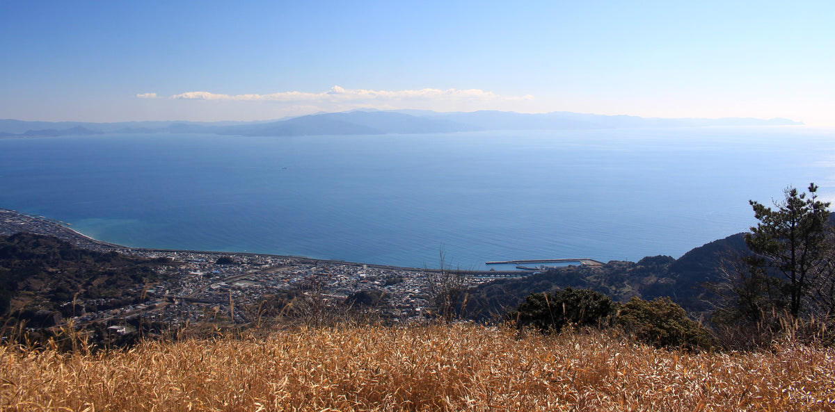 Izu Peninsula — LEDA TRIP
