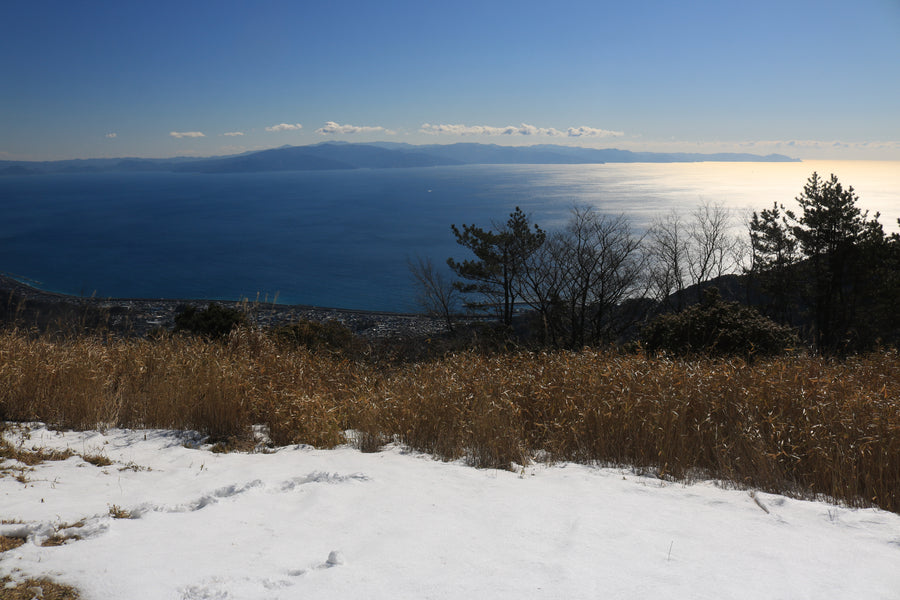 Izu Peninsula — LEDA TRIP