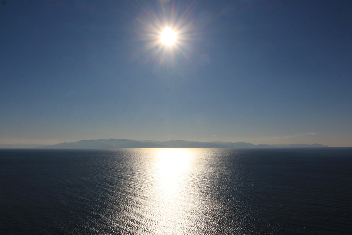 Izu Peninsula — LEDA TRIP