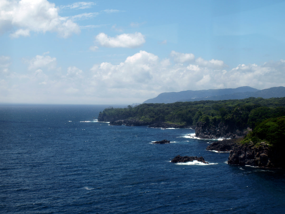 Jogasaki Coast — LEDA TRIP