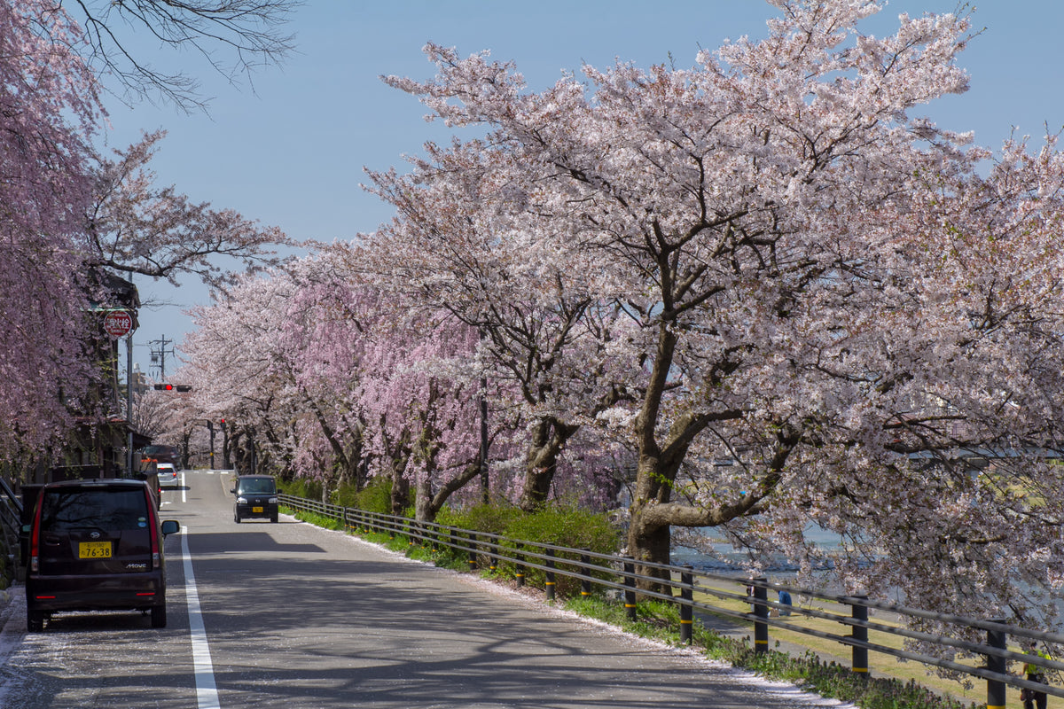 Kanazawa Japan — LEDA TRIP