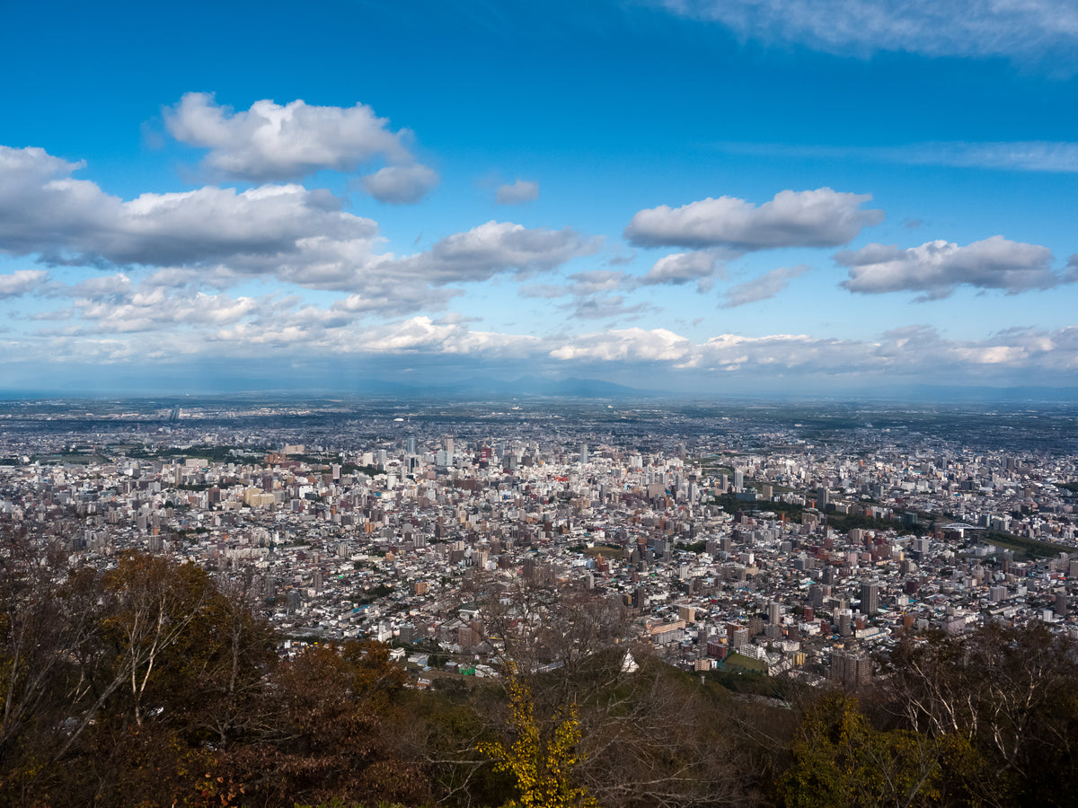 Sapporo Japan — LEDA TRIP