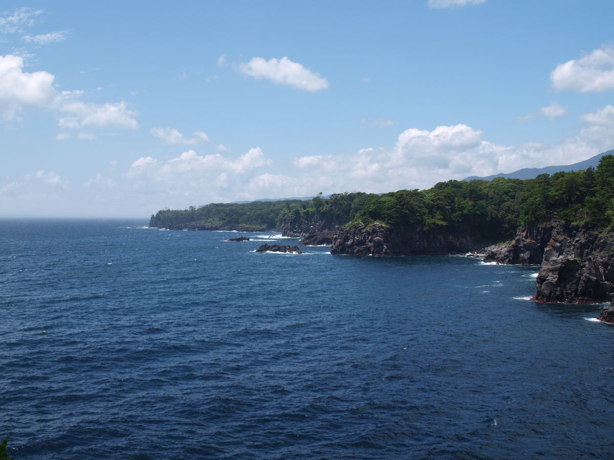 Jogasaki Coast — LEDA TRIP