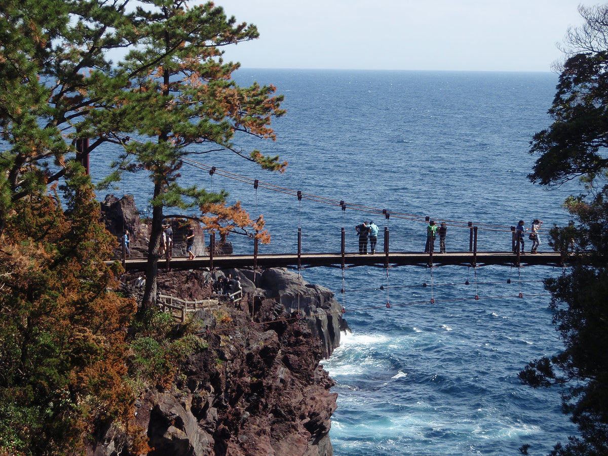 Jogasaki Coast — LEDA TRIP