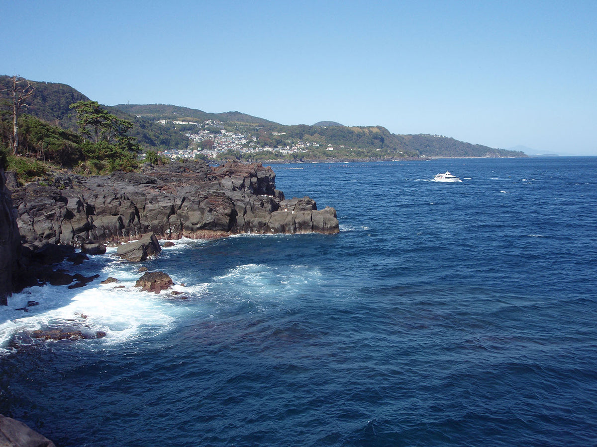 Jogasaki Coast — LEDA TRIP