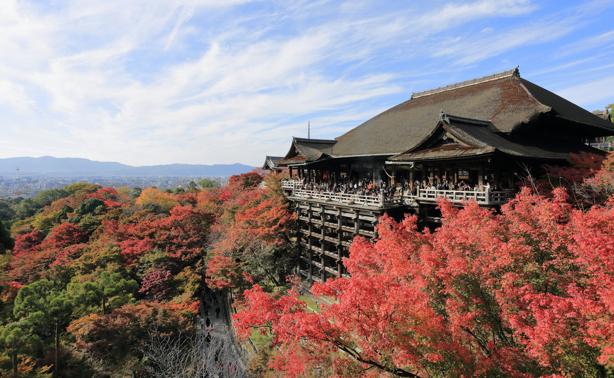 Kyoto Japan — LEDA TRIP
