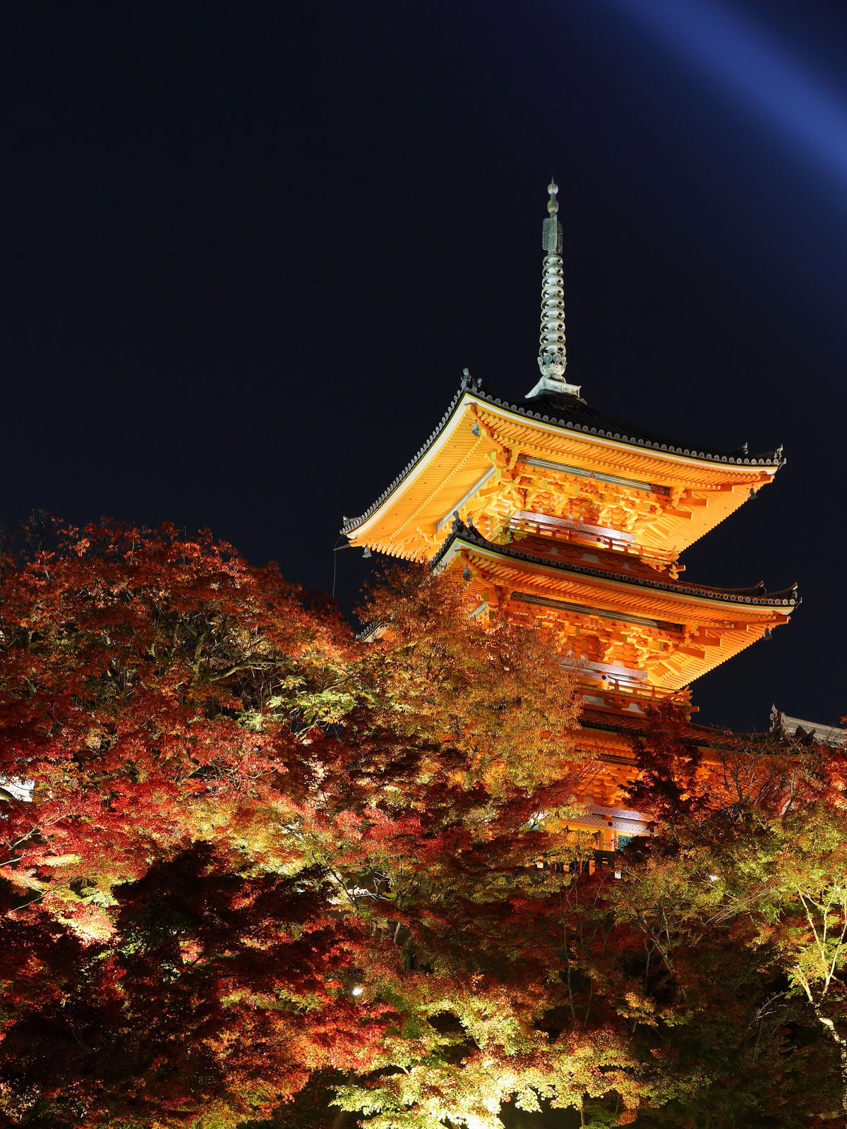 Kyoto Japan — LEDA TRIP