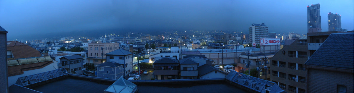 Kobe Japan — LEDA TRIP