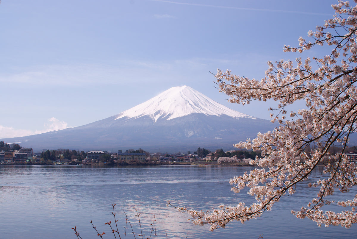 Mount Fuji Japan — LEDA TRIP