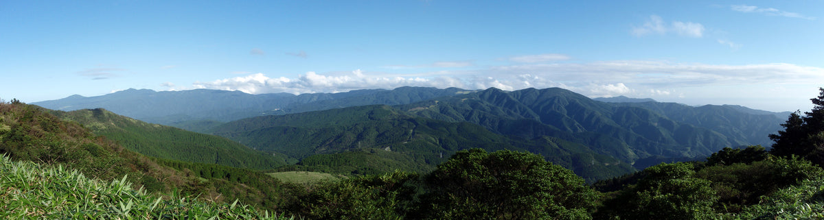 Izu Peninsula — LEDA TRIP