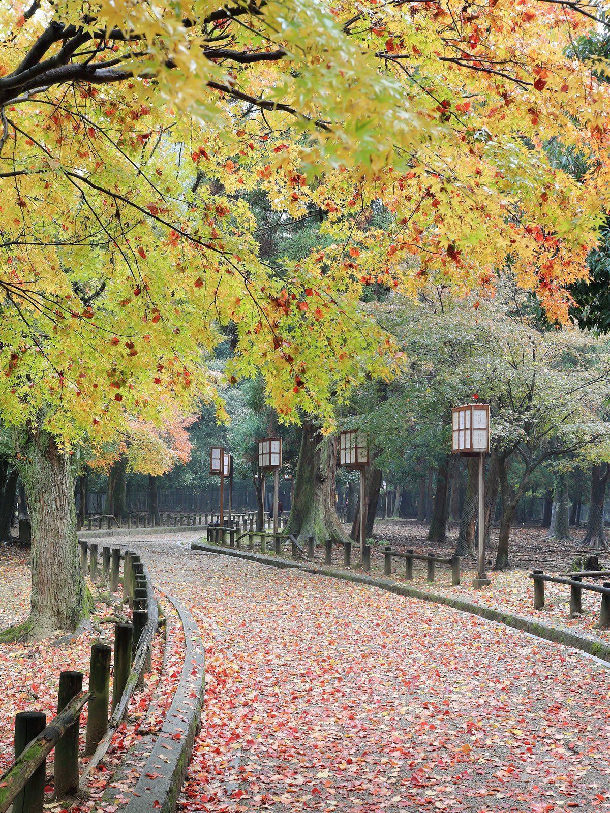 Nara Japan — LEDA TRIP