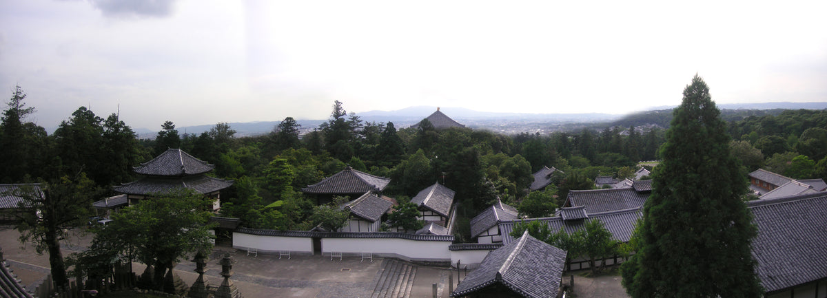Nara Japan — LEDA TRIP