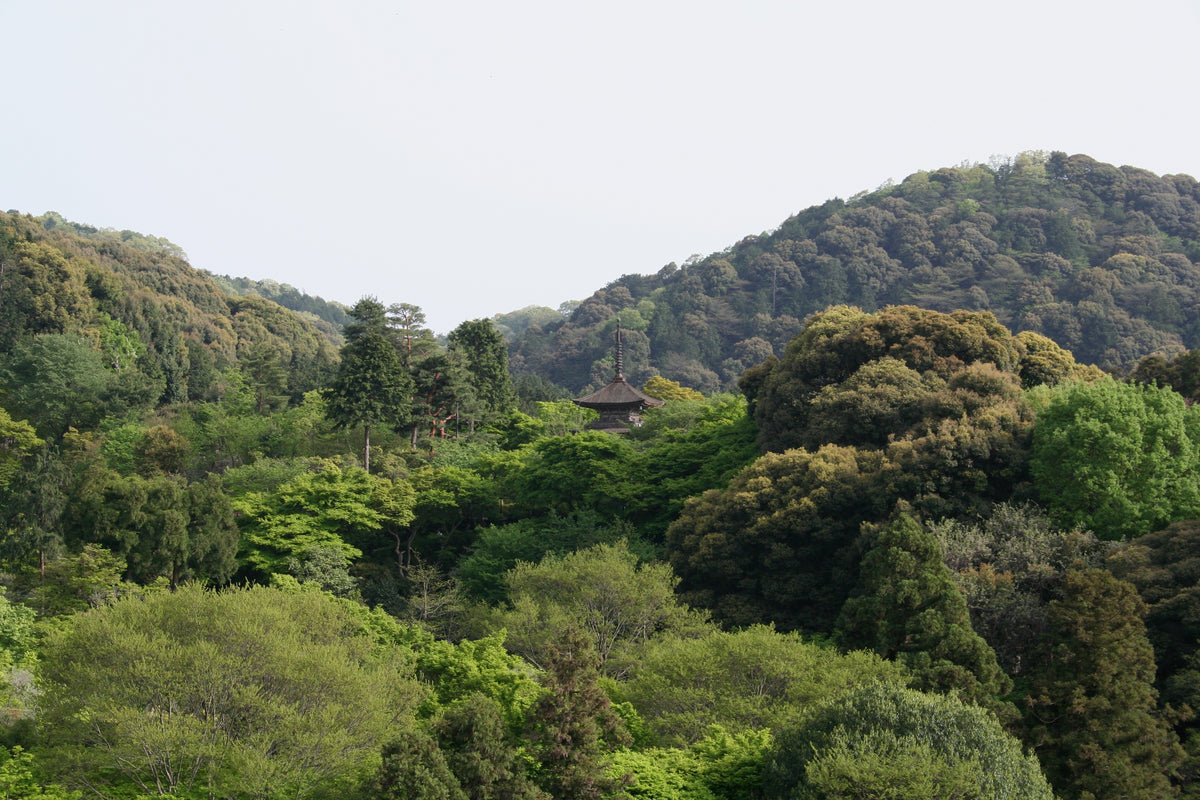 Kiyomizu-dera — LEDA TRIP