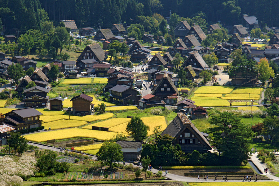 Shirakawa-go — LEDA TRIP