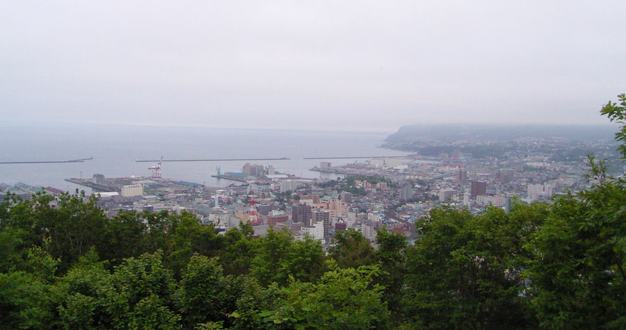 Otaru Japan — LEDA TRIP
