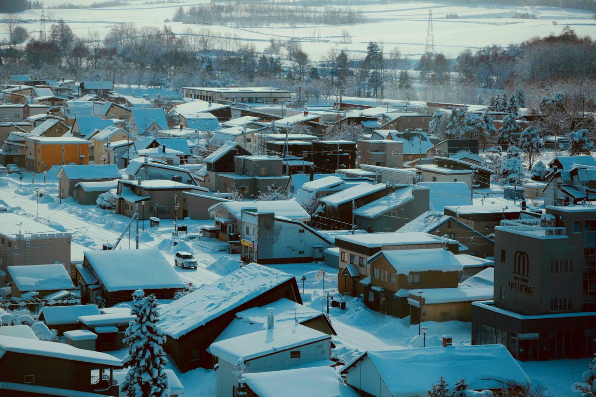 Hokkaido Private Charter | Biei & Furano 10-Hour Tour