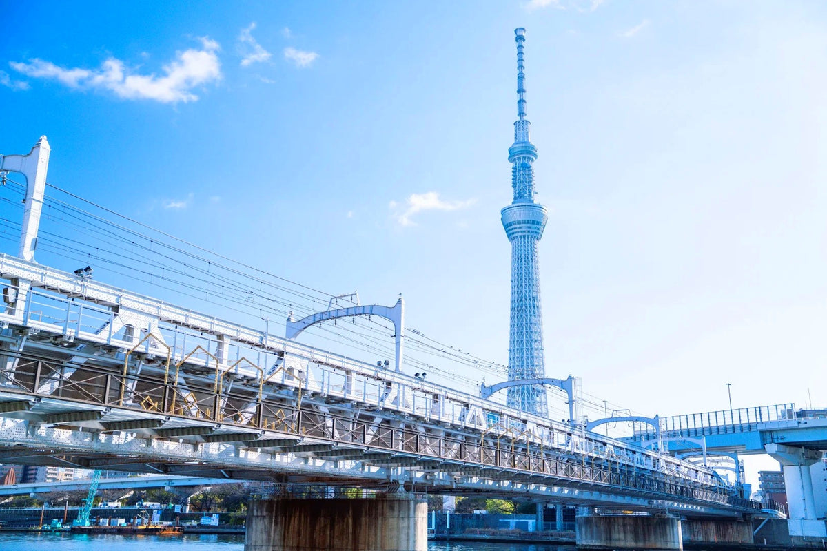 Tokyo Private Charter | 10-Hour City Tour
