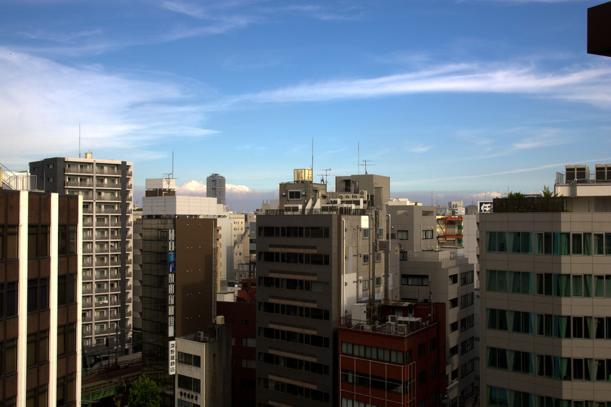 Tokyo skyline — LEDA TRIP