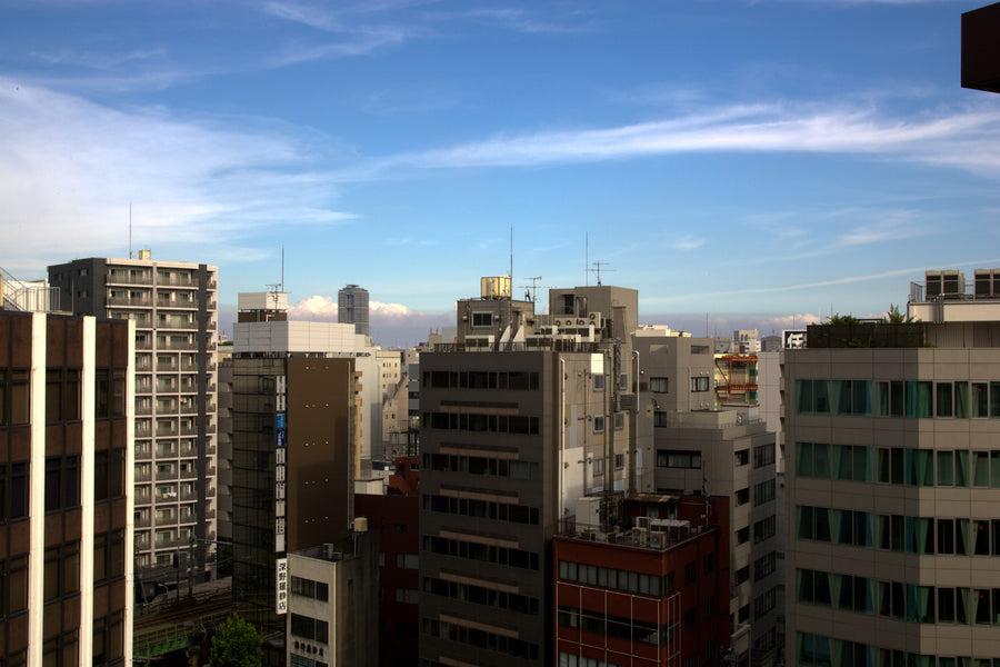 Tokyo skyline — LEDA TRIP