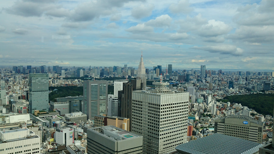 Tokyo skyline — LEDA TRIP