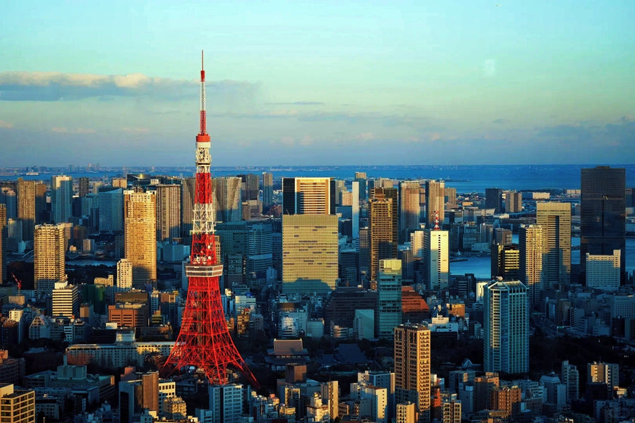 Tokyo Private Charter | 10-Hour City Tour