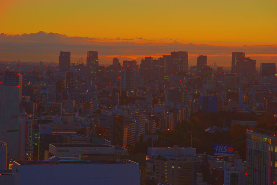 Tokyo skyline — LEDA TRIP