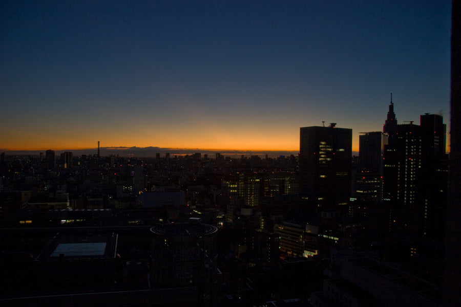 Tokyo skyline — LEDA TRIP