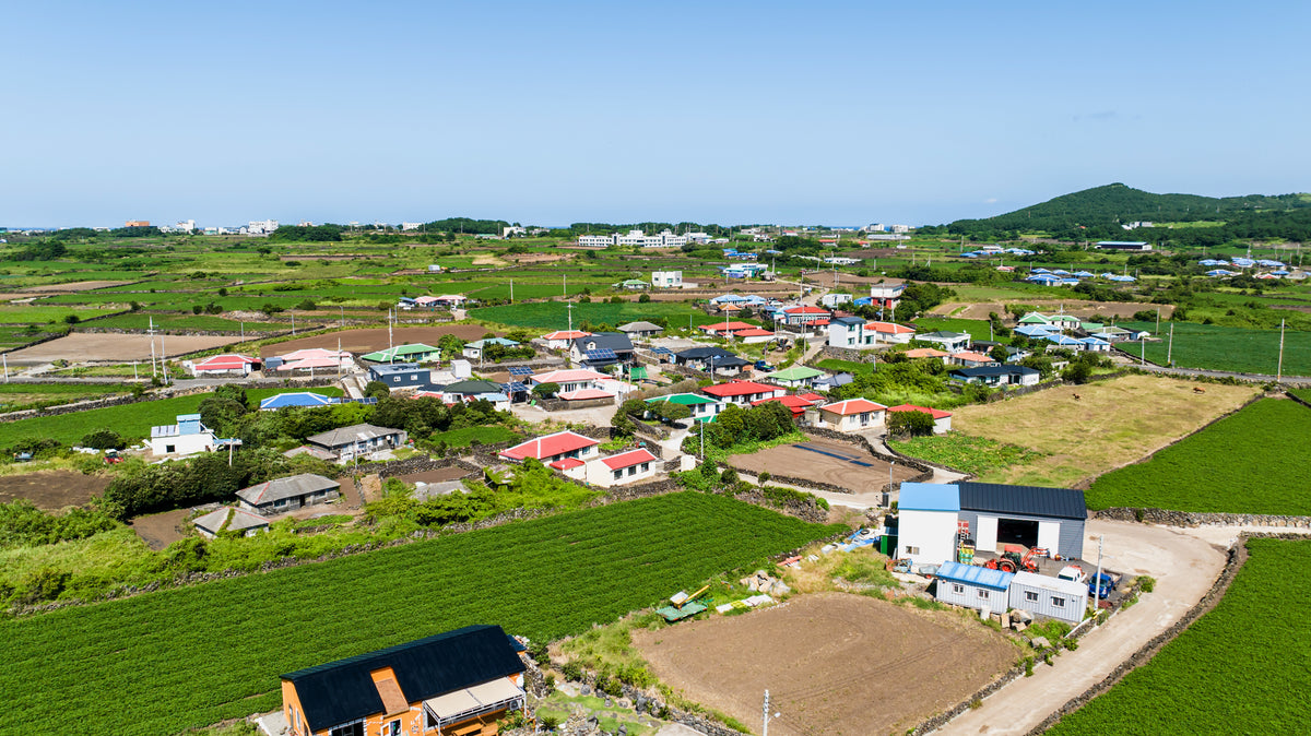 Udo Island Jeju — LEDA TRIP