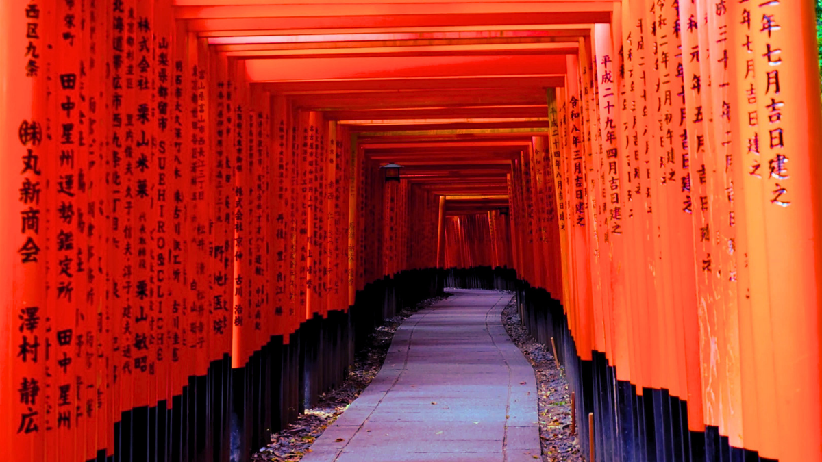 Osaka, Kyoto, Mount Fuji & Tokyo Private Tour | 7 Days 6 Nights