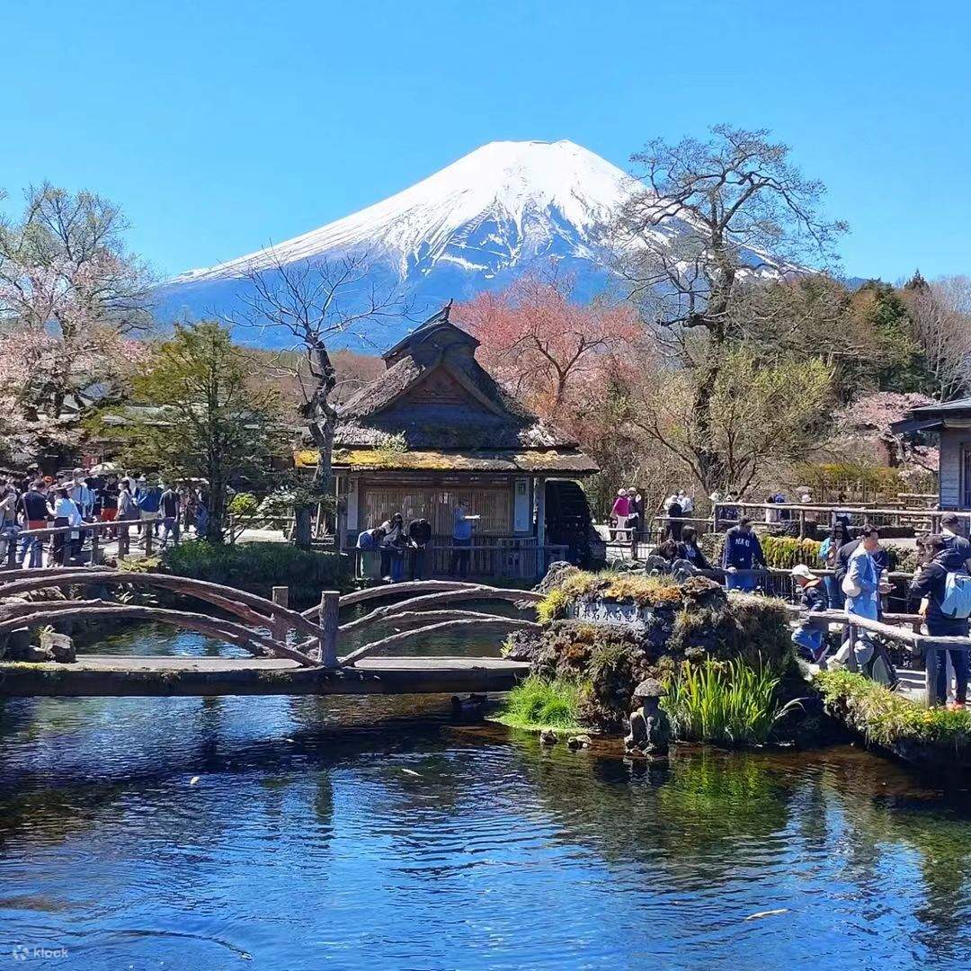🗼 东京经典5天4晚 – 富士山一日游 | 私人包团
