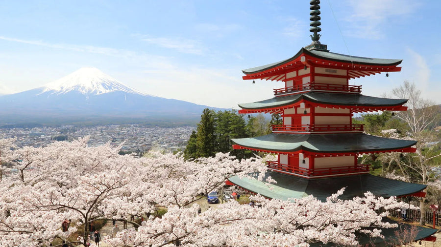 Tokyo & Hokkaido Private Tour | 8 Days 7 Nights