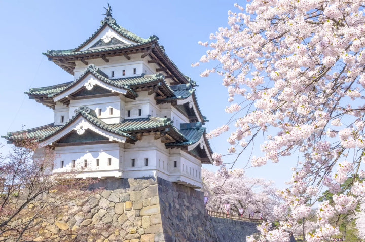 Tateyama Kurobe Alpine Route Private Tour | 7 Days 6 Nights