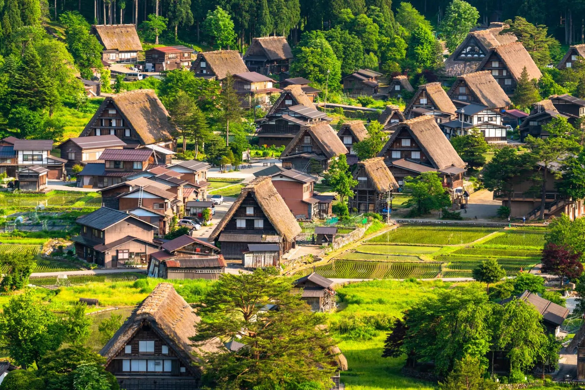 Kyushu Highlights Private Tour | 6 Days 5 Nights